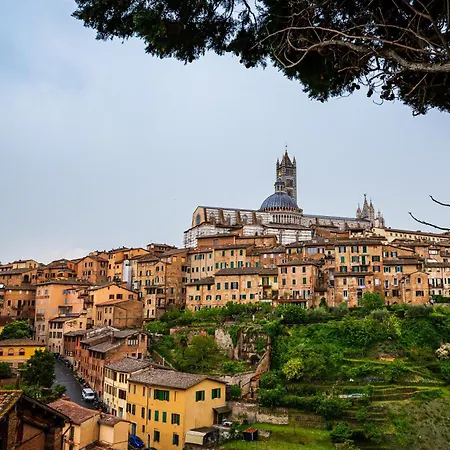 Civico116 - Dentro Le Mura, Parcheggio Gratuito Siena Esterno foto